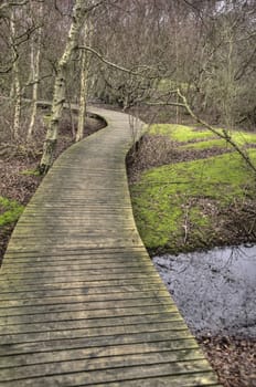 Pond on North Frisian Island Amrum in Germany