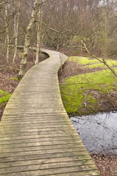 Pond on North Frisian Island Amrum in Germany