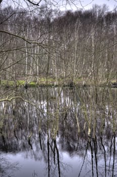 Pond on North Frisian Island Amrum in Germany