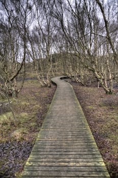 Pond on North Frisian Island Amrum in Germany