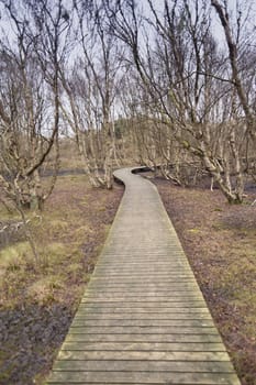 Pond on North Frisian Island Amrum in Germany