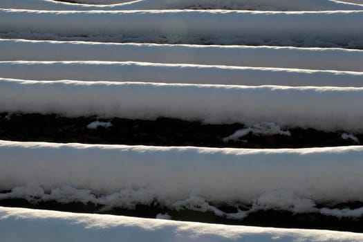 Felled trees in winter