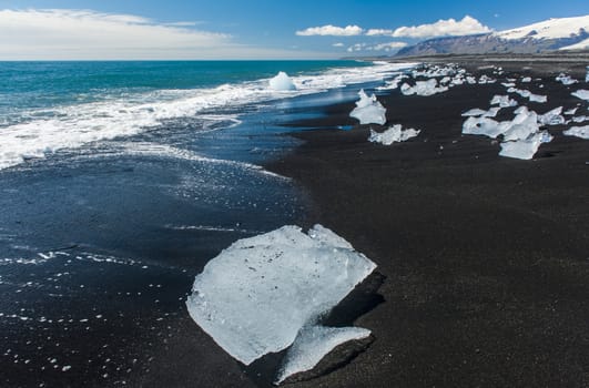 Beautiful beach in the South of Iceland with a black lava sand is full of icebergs from glaciers not far away