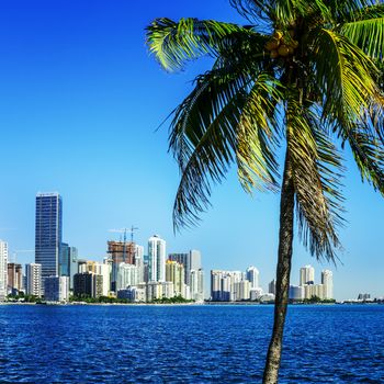 Miami Downtown skyline in daytime with Biscayne Bay.