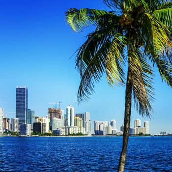 Miami Downtown skyline in daytime with Biscayne Bay.