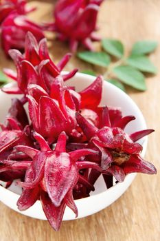 group of fresh roselle flower background.Roselle calyces are harvested fresh to produce pro-health drink.