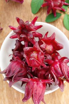 group of fresh roselle flower background.Roselle calyces are harvested fresh to produce pro-health drink.