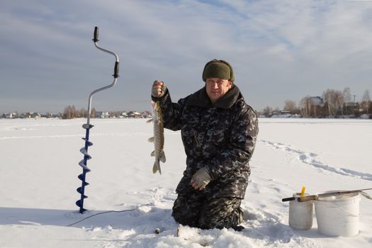 catch pike on winter fishing  on the live bait