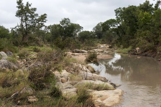 water flow in kruger national parc south africa