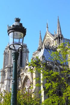 Cathedral Notre Dame de Paris on Cite island in Paris, France