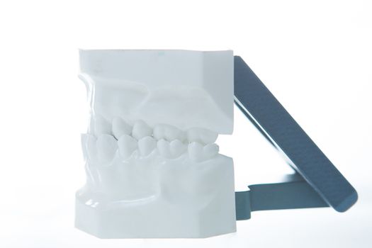 Dental model on white background. Selective focus