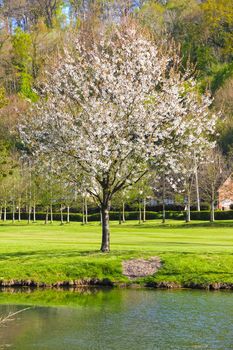 Beautiful spring landscape of golf course in Saint Saens, France