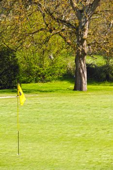 Flag on the golf field and forest on background