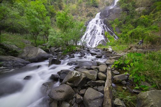 Waterfall in rainforest