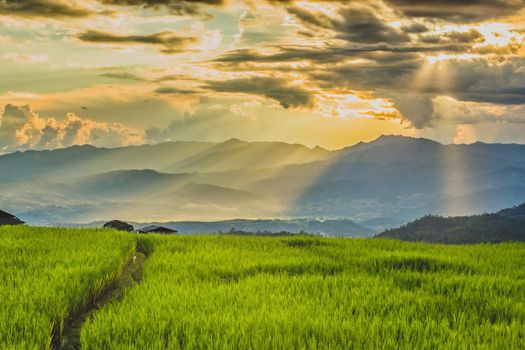 sun shining through Cloud with rice field
