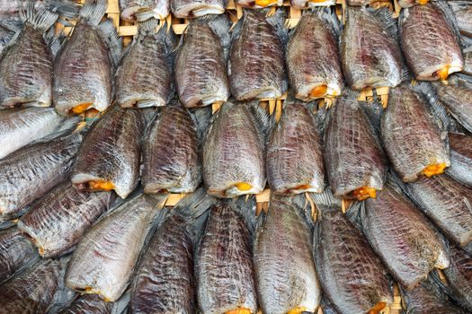 Fishes (Trichogaster pectoralis) arrange on rattan in market