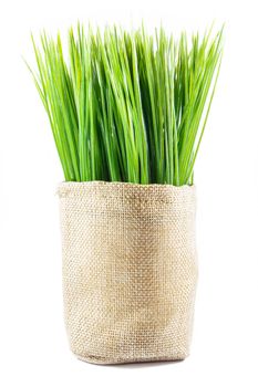 artificial grass in sack on white background (isolated)