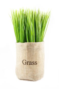 artificial grass in sack on white background (isolated)