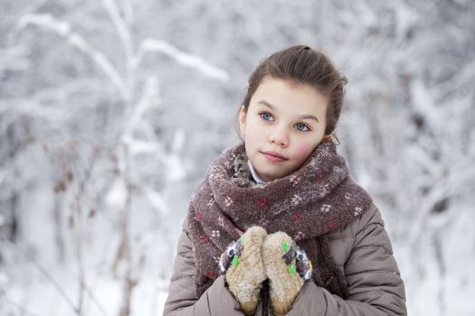 Close-up portrait of a little girl in brown jacket and knit scarf and hat on a background of a snow park