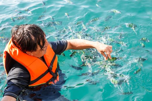 Thai man is feeding to group of Amphiprion in Andaman sea at Trang ,Thailand