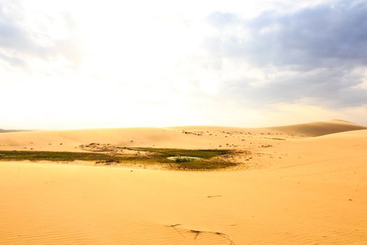 Oasis at central of Mui Ne sand dune ,South Vietnam