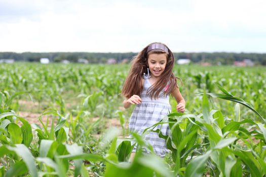 Happy little girl running through the corn field