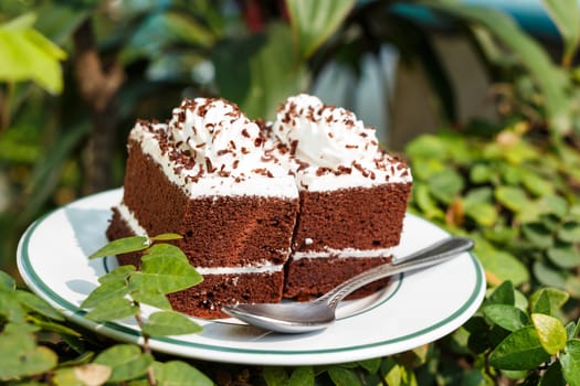 chocolate cakes with white cream on top and spoon on plate in garden