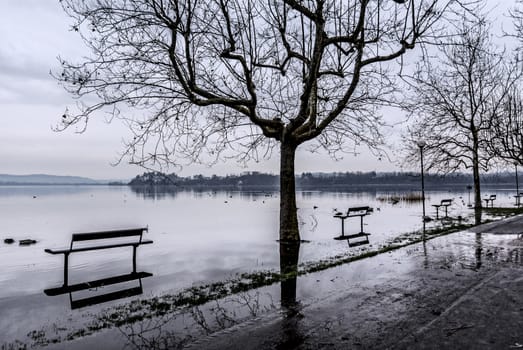 Varese lake, flooding in Gavirate - Lombardy, Italy