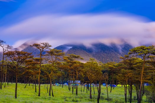 Morning Mist at Tropical Mountain Range