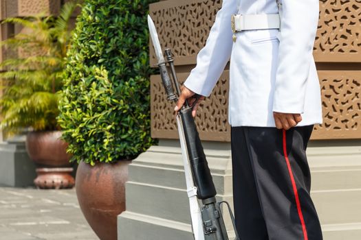 lifeguard hold rifle in front of royal palace