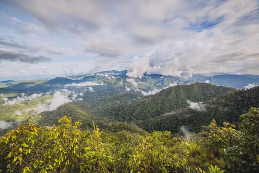 Morning Mist at Tropical Mountain Range