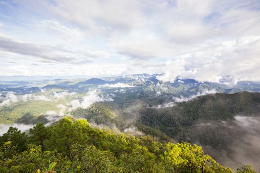 Morning Mist at Tropical Mountain Range