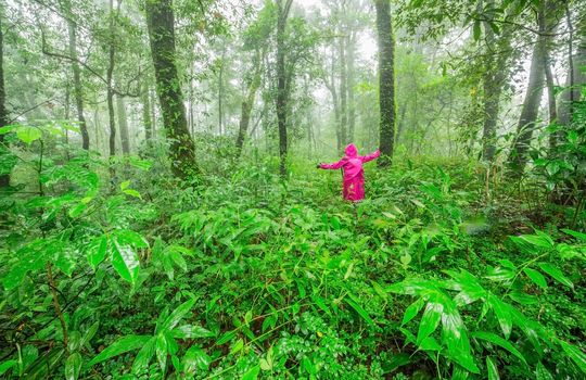 Young woman walk in the Rainforest