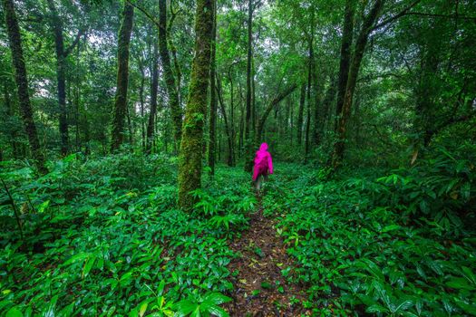 Young woman walk in the Rainforest