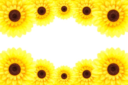 Sunflower at lower border