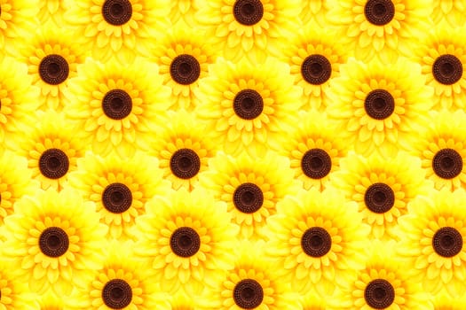 Artificial sunflower background (Helianthus annuus)