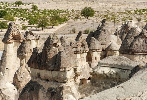 Fairy tale chimney rocks in Pasabg (Monk) Valley in Cappadocia, Turkey