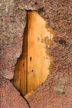 Texture of old painted wooden doors with hole.