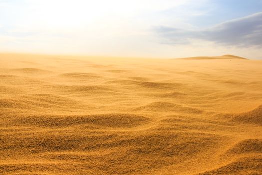 Wave on desert at Mui Ne, South Vietnam