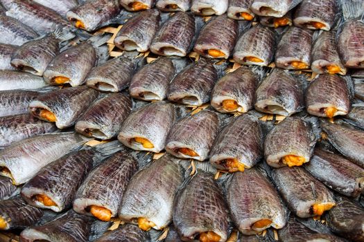 Fishes meat(Trichogaster pectoralis) arrange on rattan in market