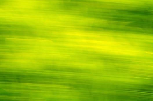 Green grass blur spring texture, light and dark lines.