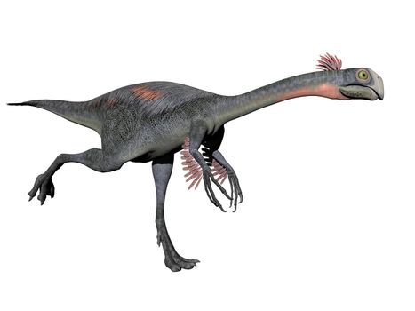 gigantoraptor dinosaur in white background - 3d render