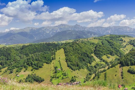 Beautiful day and spring landscape,near Bran,Transylvania ,Romania