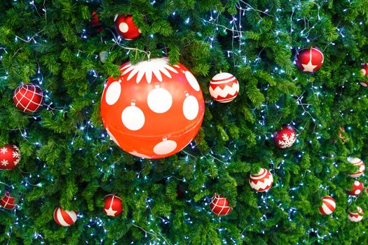 red ball and light bulb were decorated on pine tree on Christmas day in Thailand
