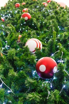 red ball and light bulb were decorated on pine tree on Christmas day in Thailand