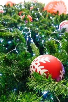 red ball and light bulb were decorated on pine tree on Christmas day in Thailand