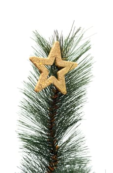 Christmas golden star on a christmas branch isolated on white