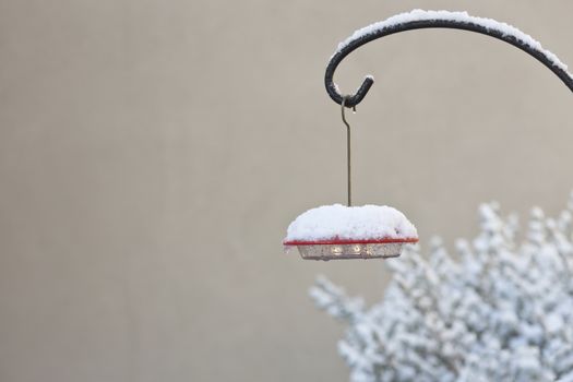 Hummingbird feeder is topped with a wintry covering of fresh ice and snow.  Location is Tucson, Arizona, on New Year's Day, 2015.  Unusual cold weather conditions in the Sonoran Desert of America's Southwest.  