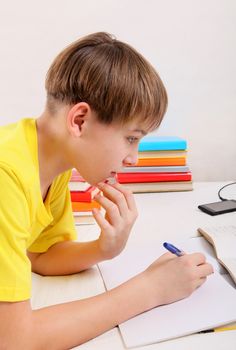 Kid doing Homework at the Home