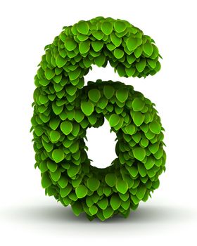 Number 6 green leaves font ecology theme on white background